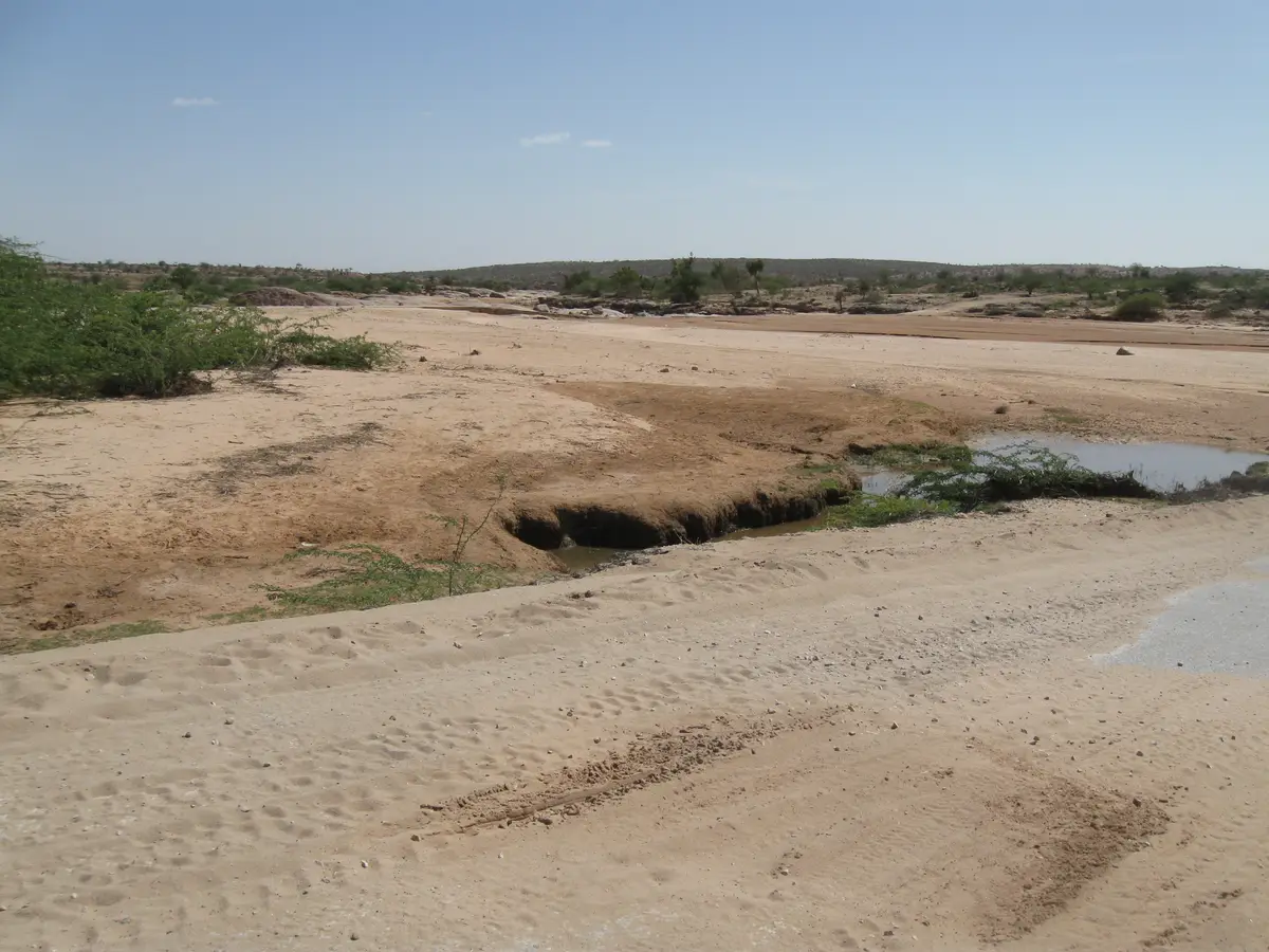 A wide, dry riverbed in the Somaliland landscape